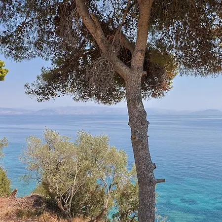 Ninemia Seaview By Estia Villa *